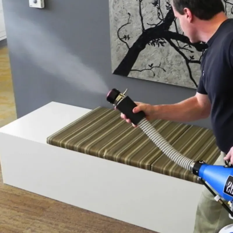 Professional Odor Removal in Lomas, PR