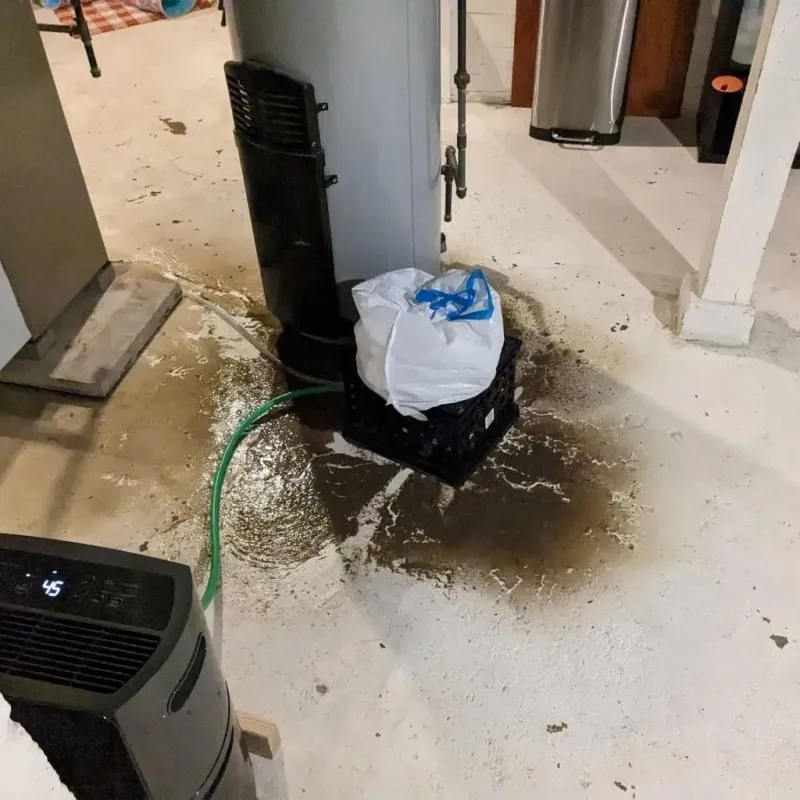 Sewage Backup Cleanup Service in Lomas, PR